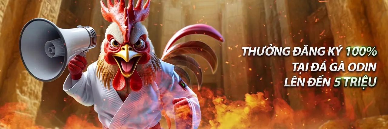 Hình ảnh chính về nền tảng Won88 uy tín và an toàn